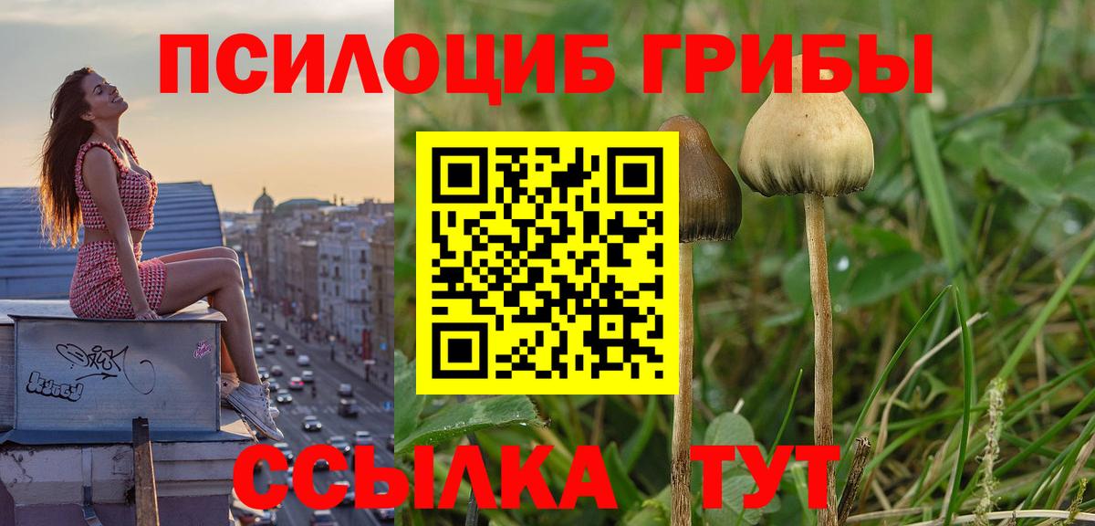 Чебаркуль  Галлюциногенные грибы Magic Shrooms  Вход с VPN 